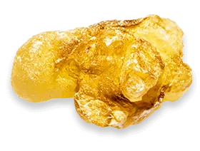 Boswellia serrata