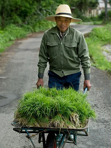 Yuzurihara, Japan